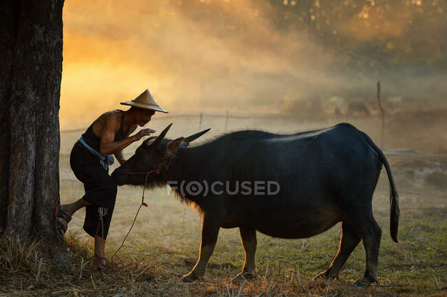 Farmer in piedi con il suo bufalo in un campo, Thailandia — Foto stock