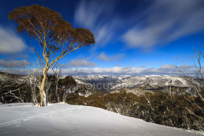 Живописный вид с горы Хотэм, Хьюм, Виктория, Австралия — стоковое фото