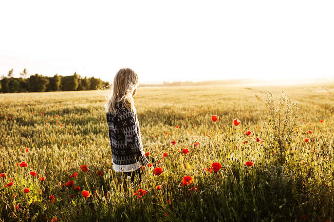 Boy standing in a poppy field, Denmark — Stock Photo