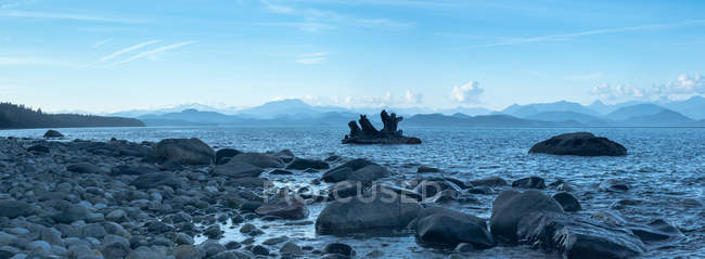 Madera a la deriva en la playa rocosa, Quadra Island, Columbia, Canadá - foto de stock