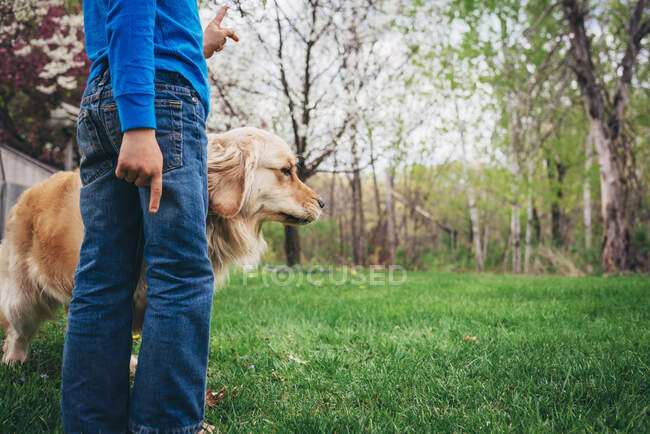 Menino de pé no jardim com seu cão golden retriever — Fotografia de Stock