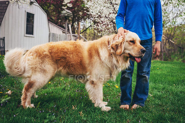 Niño de pie en el jardín acariciando a su perro recuperador de oro - foto de stock