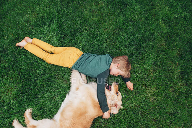 Blick von oben auf einen Jungen, der im Gras liegt und mit seinem Golden Retriever-Hund spielt — Stockfoto