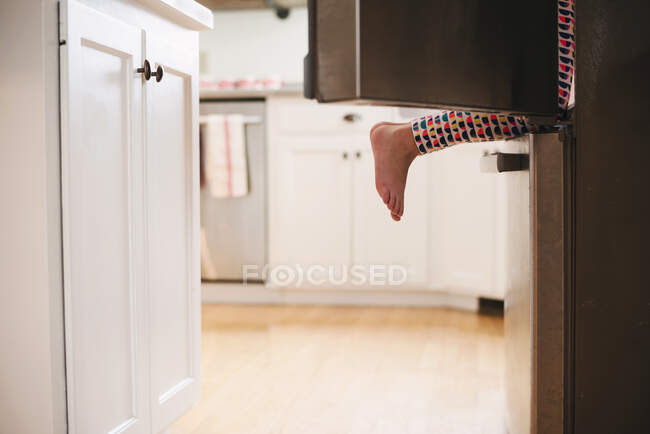 Молодая девушка забирается в холодильник — стоковое фото