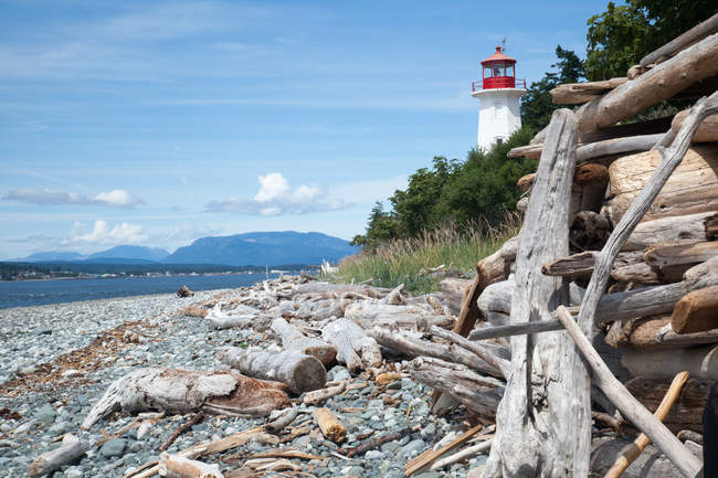 Vista panorâmica de Driftwood e farol na praia, Quadra Island, Columbia, Canadá — Fotografia de Stock