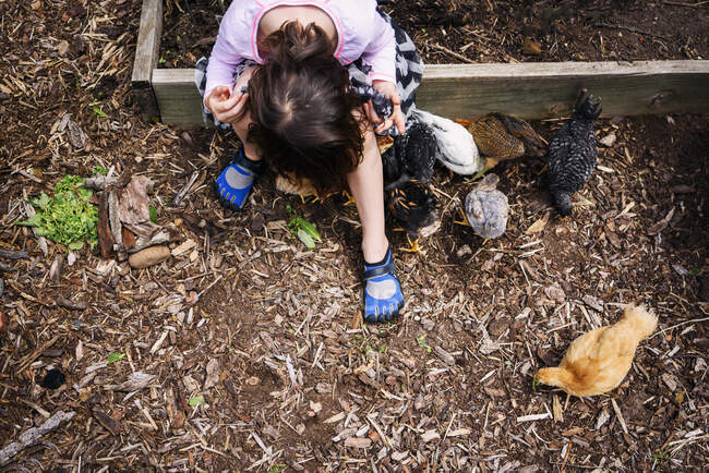 Fille assise dehors avec des poulets — Photo de stock