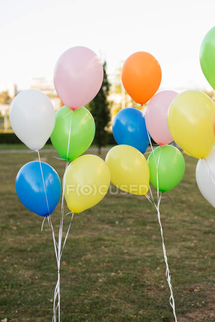 Bunches of Multi-colored balloons — Stock Photo