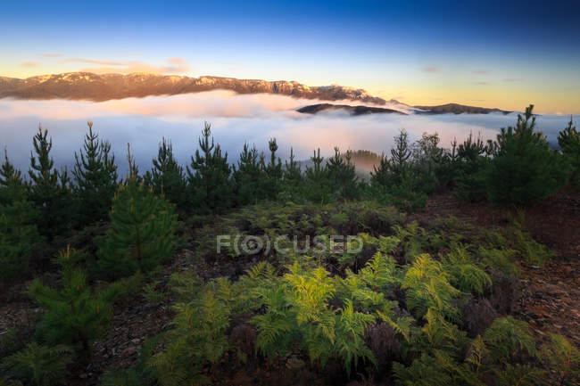Vista panorâmica do Monte Buffalo, Hume, Victoria, Austrália — Fotografia de Stock