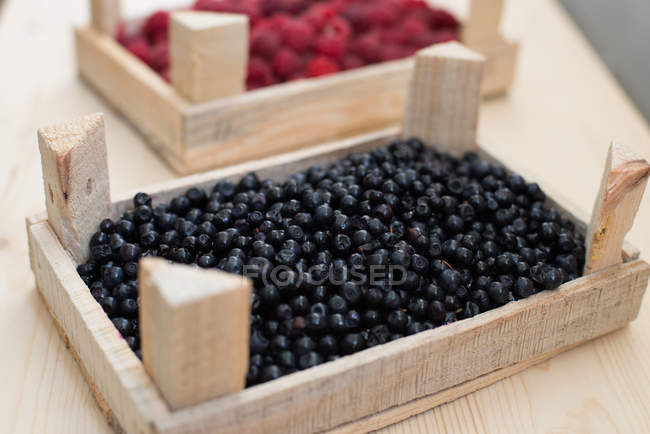 Crates of raspberries and blueberries, closeup view — Stock Photo