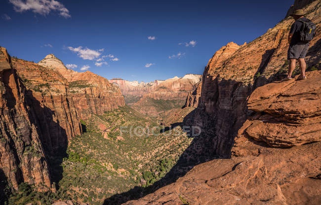 Uomo in piedi nel parco nazionale di Zion, Zion Canyon — Foto stock