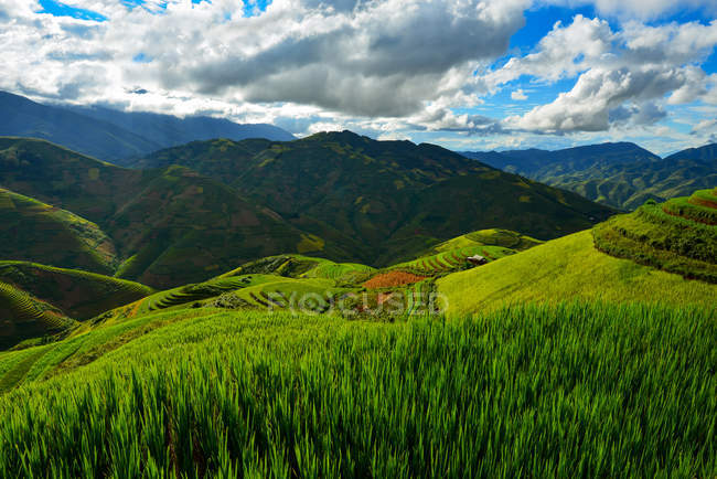 Vista panorâmica do belo terraço de arroz verde durante o pôr do sol, Vietnã — Fotografia de Stock