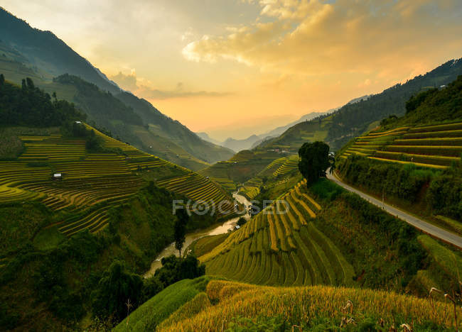 Vista panorámica de la hermosa terraza de arroz verde durante la puesta del sol, Vietnam - foto de stock
