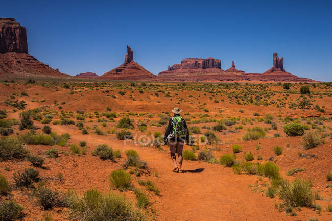 Племінний парк Навахо, оранжевий червоний пейзаж, турист, що йде дорогою. — стокове фото