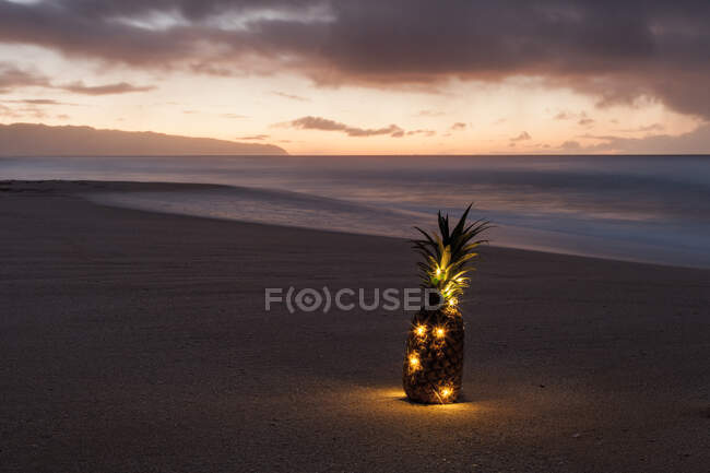 Ananas illuminato sulla spiaggia, Haleiwa, Hawaii, America, USA — Foto stock