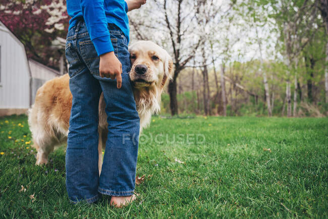 Молодий хлопчик грає з золотою собакою-ретривером на вулиці в траві — стокове фото