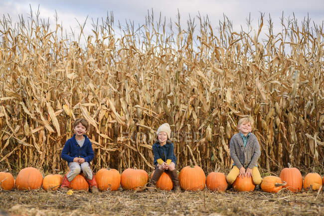 Three kids sitting on pumpkins in a pumpkin patch — Stock Photo