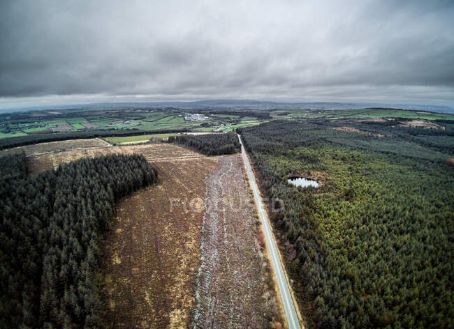 Beautiful aerial shot of road surrounded with woods — Stock Photo
