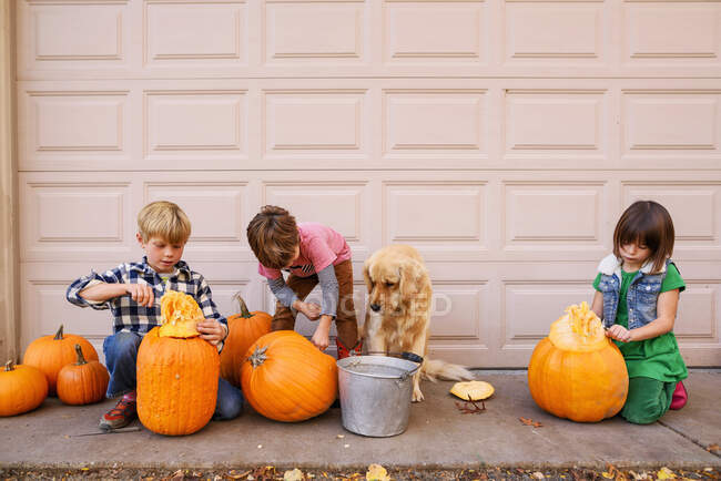 Tres niños y un perro tallando calabazas - foto de stock