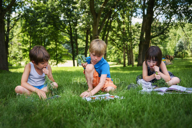 Three young children sitting in back yard reading books and eating fresh veggies — Stock Photo