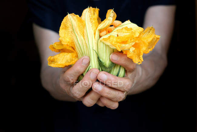 Senior woman holding zucchini flowers — Stock Photo