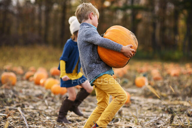 Молода дівчина і хлопчик, що носить гарбузи на гарбузовій плямі — стокове фото