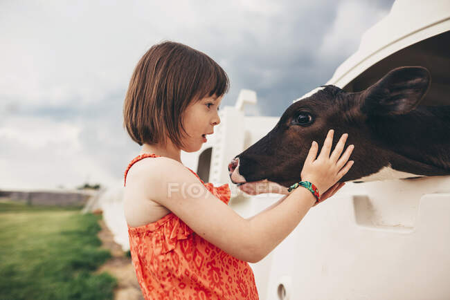 Young girl hugging baby cow — Stock Photo