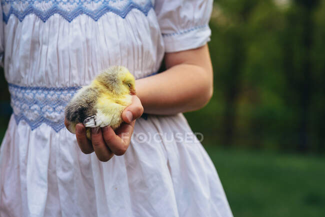 Young girl holding baby chick outside — Stock Photo