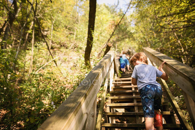 Crianças pequenas agarrando escadas trilha na floresta — Fotografia de Stock