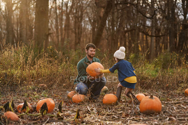 Jovem e pai carregando abóboras em um remendo de abóbora — Fotografia de Stock