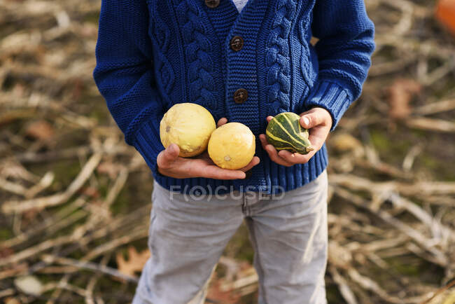 Overhead of a young boy holding fall squash — Fotografia de Stock