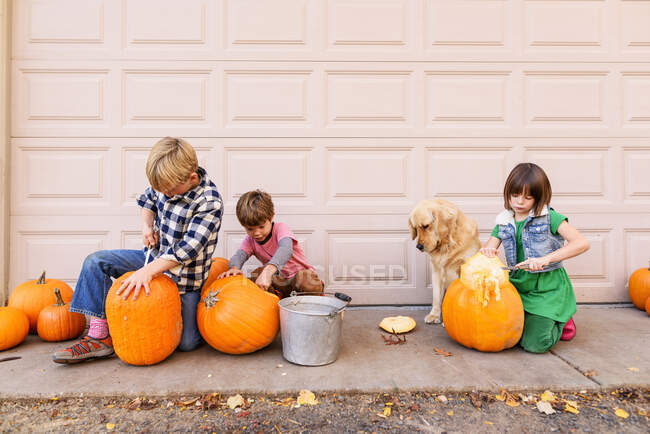 Tres niños y un perro tallando calabazas - foto de stock