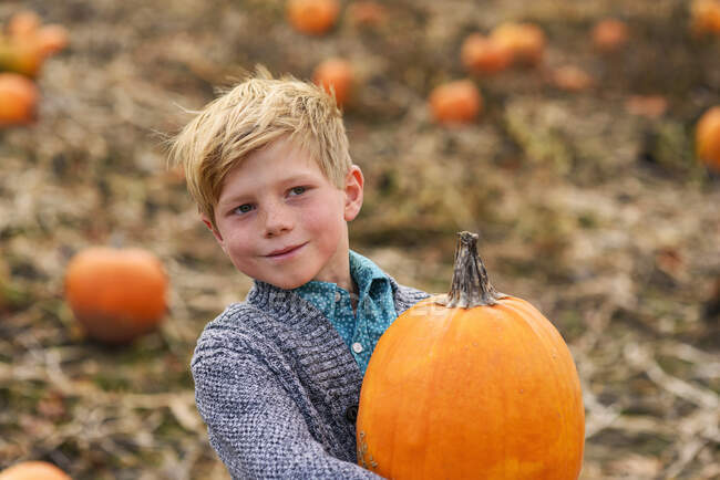 Мальчик с тыквами в тыквенной грядке — стоковое фото