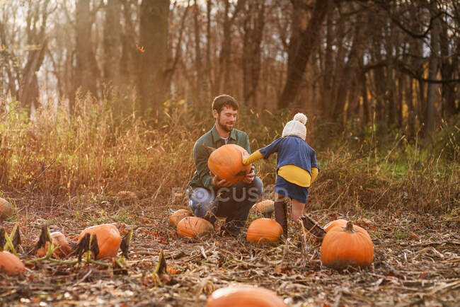 Young girl and father carrying pumpkins in a pumpkin patch — Stock Photo