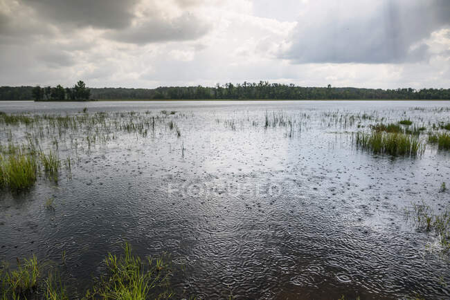 Giovane ragazza accanto al lago sotto la pioggia — Foto stock