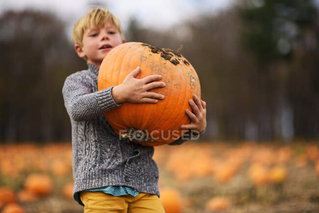 Jeune garçon portant des citrouilles dans un patch de citrouille — Photo de stock