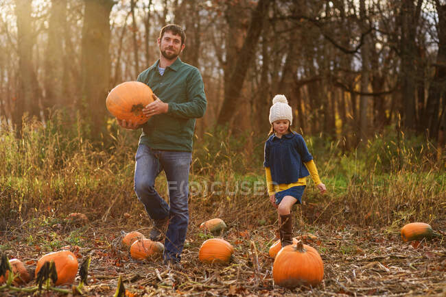 Молода дівчина і батько несуть гарбузи в гарбузовій клапті. — стокове фото