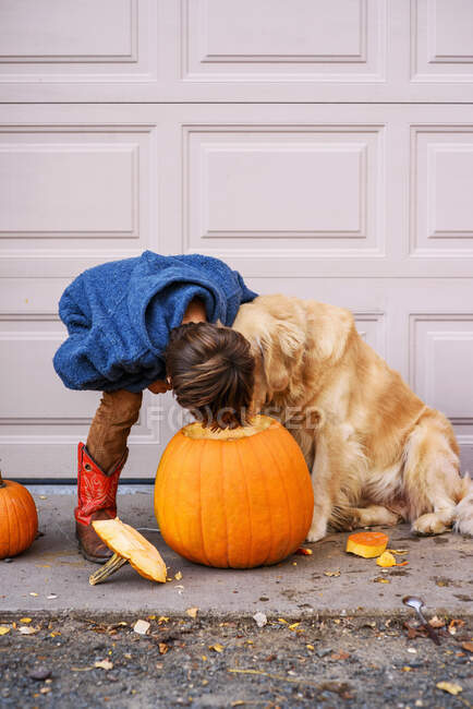 A young boy and dog looking into a pumpkin — Stock Photo