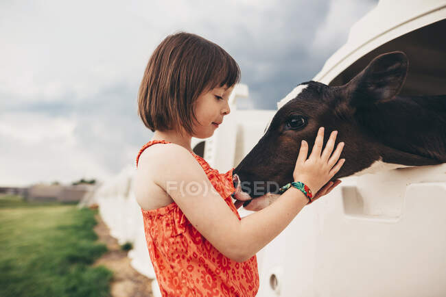 Joven chica abrazando bebé vaca - foto de stock