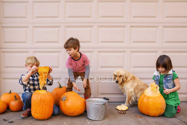 Drei Kinder und ein Hund schnitzen Kürbisse — Stockfoto
