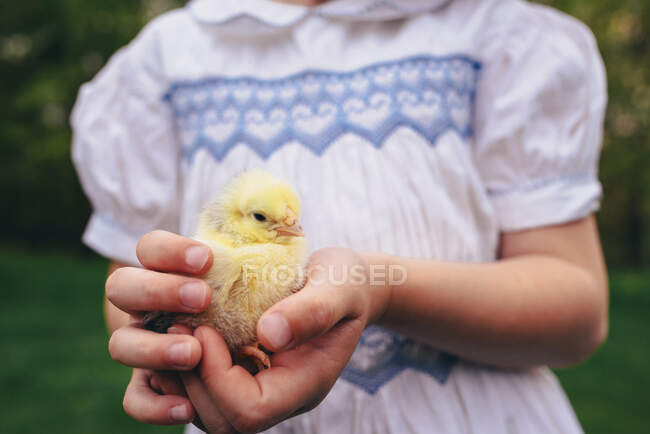 Young girl holding baby chick outside — Stock Photo