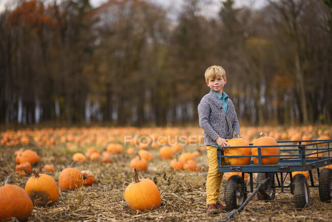 Jeune garçon portant des citrouilles dans un patch de citrouille — Photo de stock