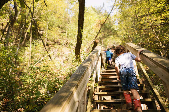 Des jeunes enfants grimpent les escaliers dans les bois — Photo de stock
