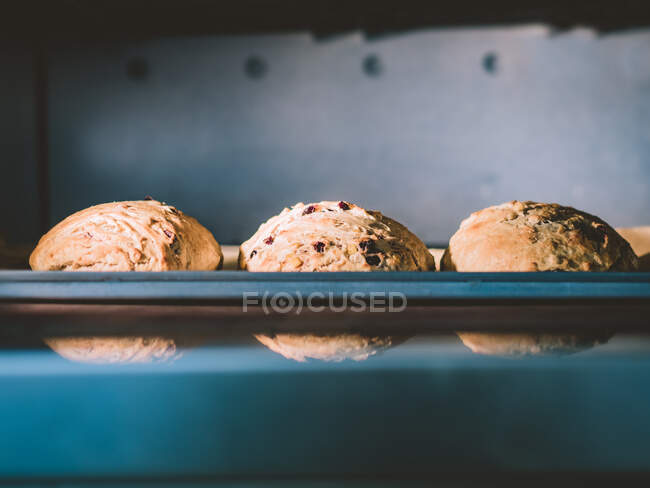 Pão assado fresco na bandeja no forno — Fotografia de Stock
