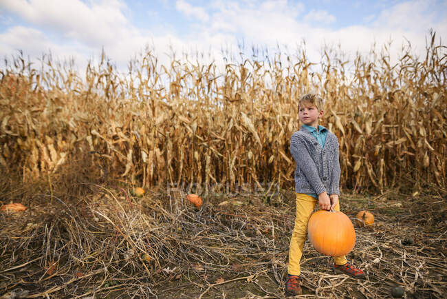 Young boy carrying pumpkins in a pumpkin patch — Stock Photo
