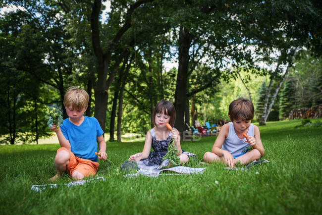Tres niños pequeños sentados en el patio trasero leyendo libros y comiendo verduras frescas - foto de stock