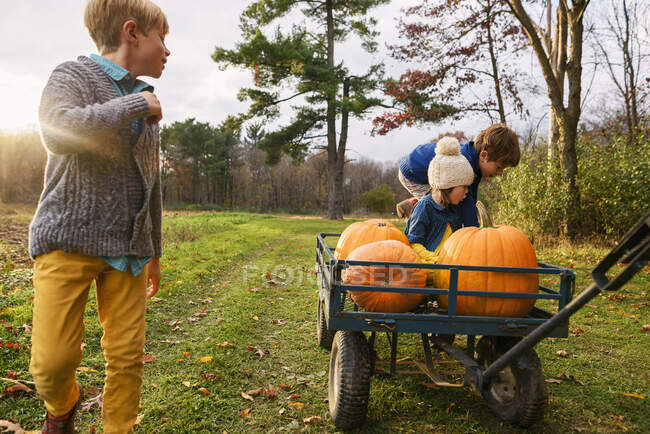 Três crianças andando em um vagão com abóboras em um remendo de abóbora — Fotografia de Stock
