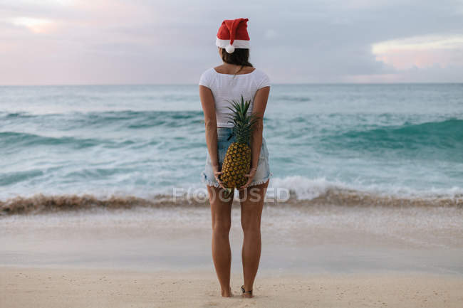 Женщина в рождественской шляпе Санты, стоящей на пляже с ананасом за спиной, Халейва, Гавайи, Америка, США — стоковое фото
