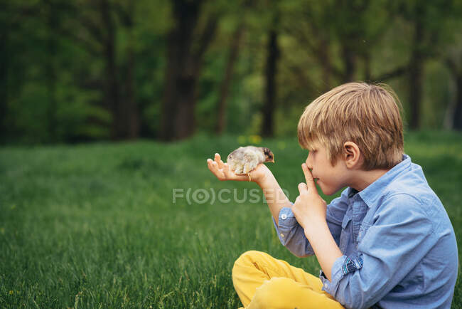 Мальчик держит цыпленка на природе — стоковое фото