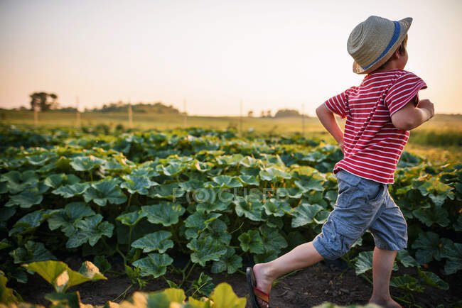 Jeune garçon courant à travers un patch de légumes — Photo de stock