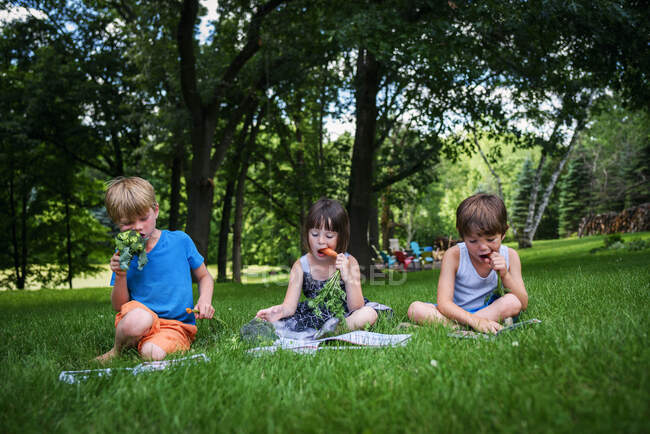 Tre bambini piccoli seduti in giardino a leggere libri e mangiare verdure fresche — Foto stock